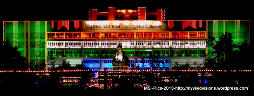 Vibrant Gujarat - 2013 - Gandhinagar
